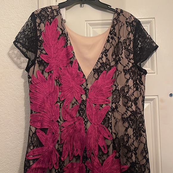 JS Collection Embroidered Lace Midi Dress in Black and Pink - Picture 9 of 12